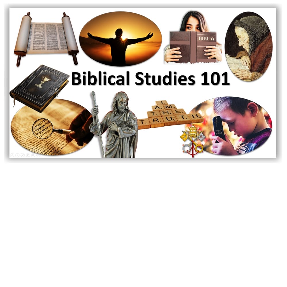 Biblical Studies 101 V2.00